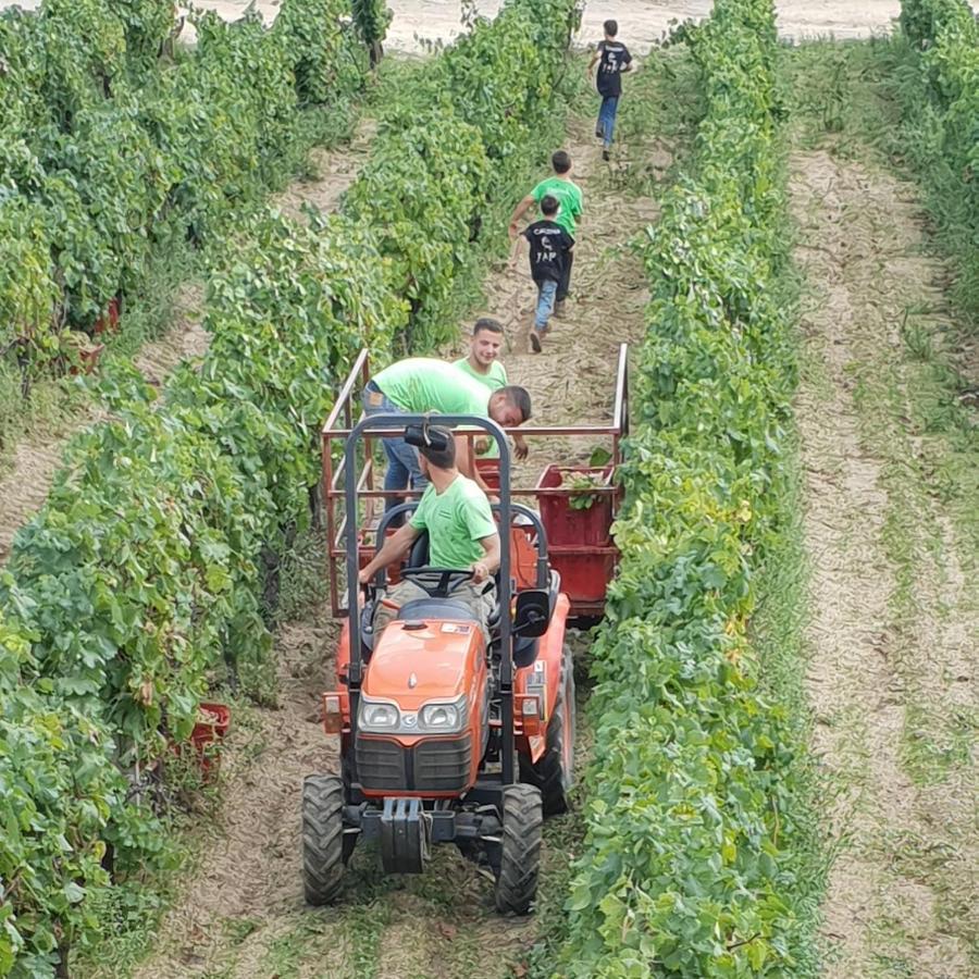 Agriturismo Vermentino Monti Dış mekan fotoğraf